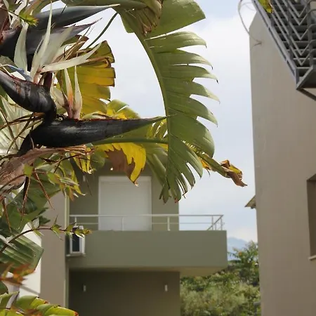 Kamares Apts - Antonis Cozy Maisonette *